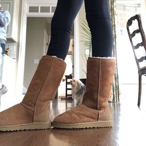 lightly worn chestnut ugg boots